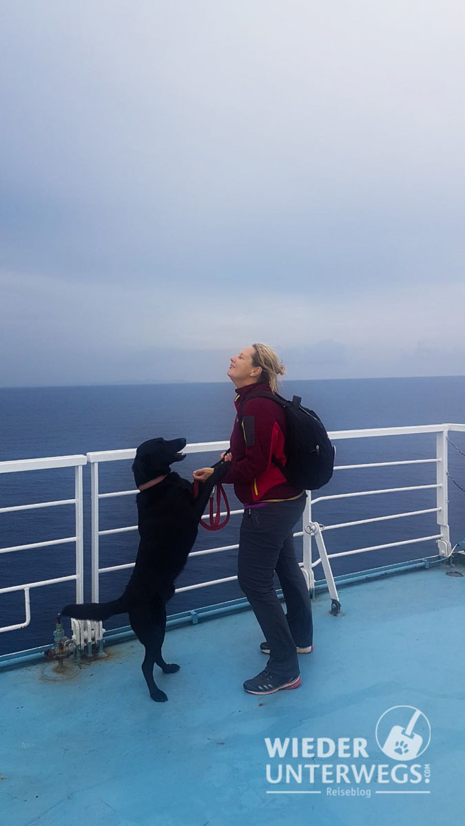 Sardinia Ferries Mit Hund Web (23 Von 44)