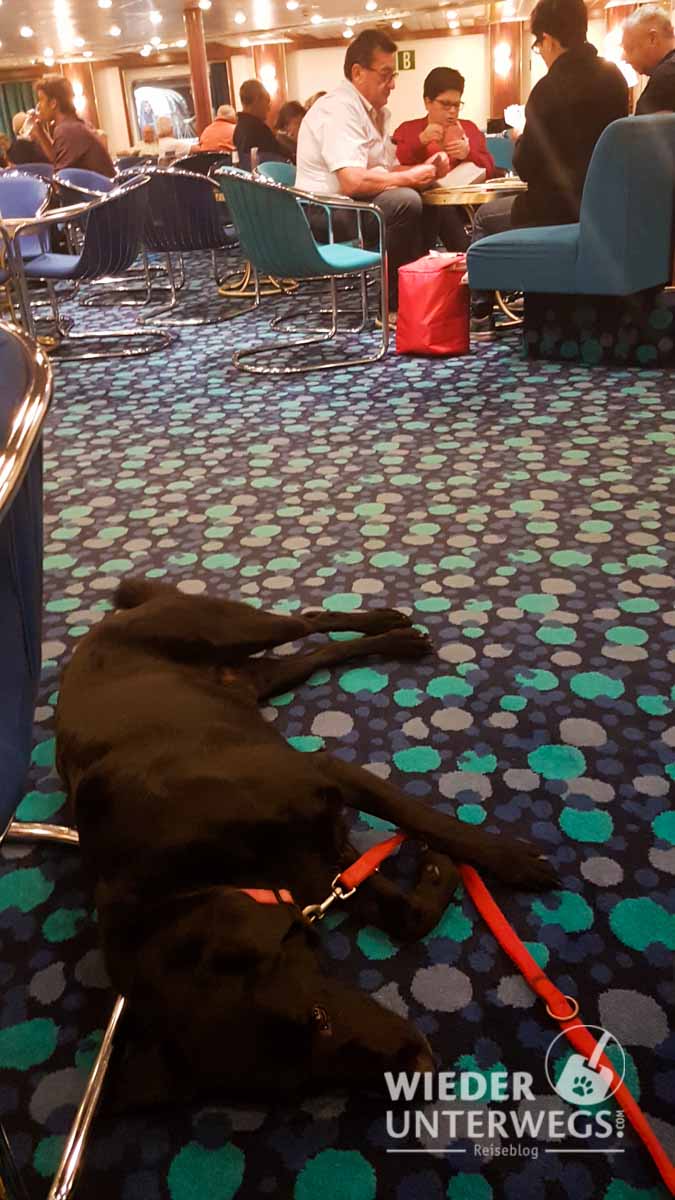 Sardinia Ferries Mit Hund Web (42 Von 44)