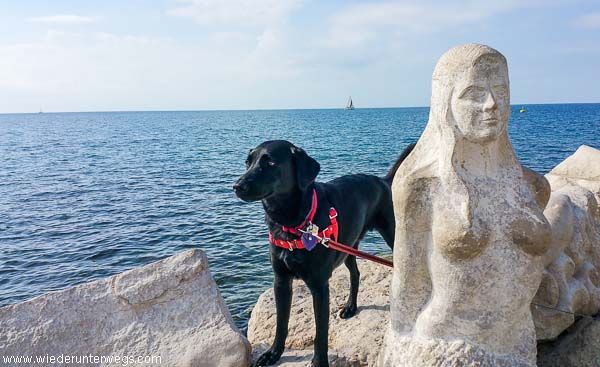 slowenien mit hund am meer an der promenade