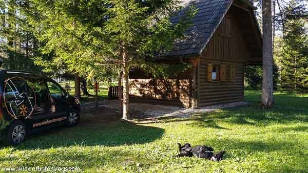 Camping am Bleder See: Slowenien mit Hund Urlaub