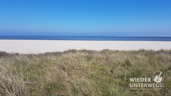 Strand bei Texel Holland