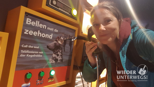 Texel Web Optimiert 2017 380