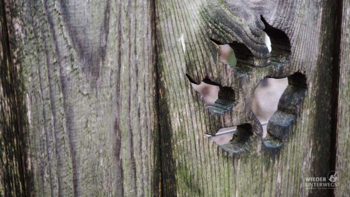Tierpark Ernstbrunn Wolfstatze