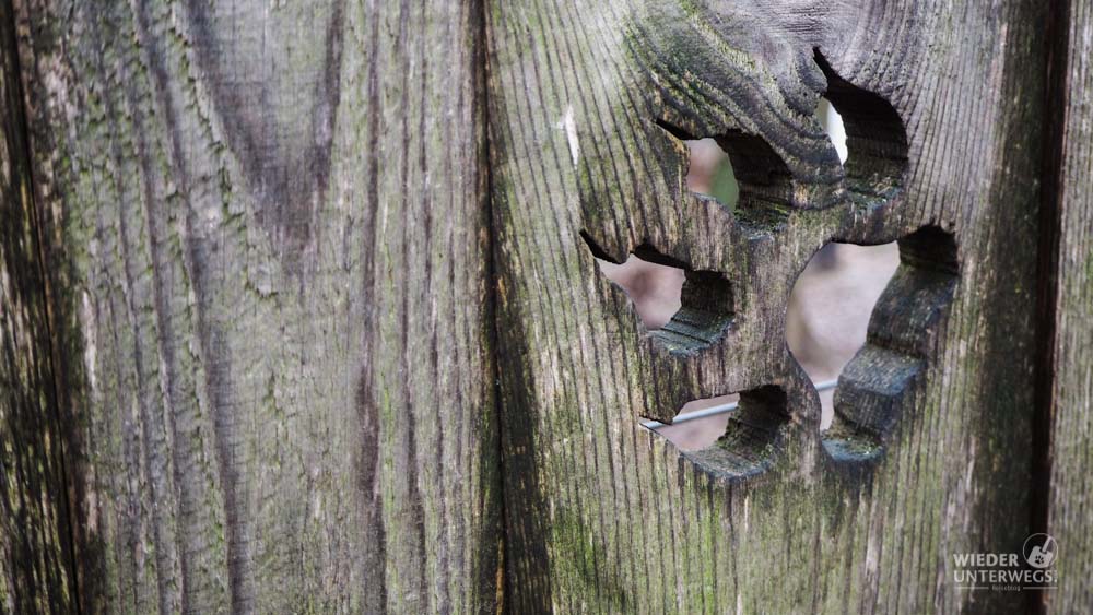 Tierpark Ernstbrunn Wolfstatze