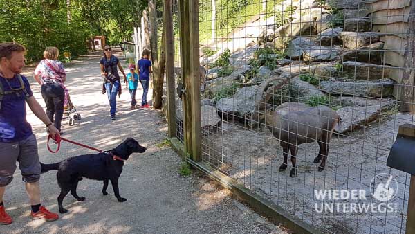 tierpark haag mit nö card 