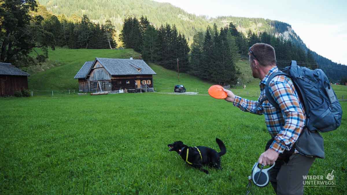 Urlaub auf dem Bauernhof mit Hund