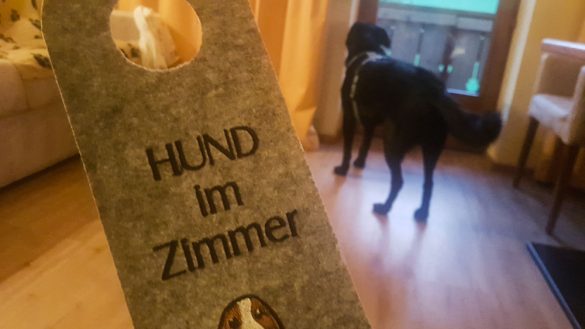 Urlaub Mit Hund Österreich Zillertal Hotel Magdalena Web (283 Von 328)