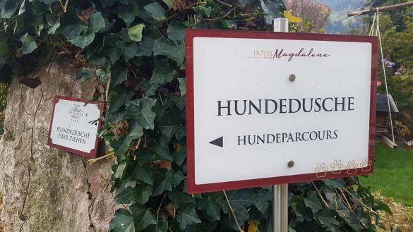 Urlaub Mit Hund Österreich Zillertal Hotel Magdalena Web (306 Von 328)