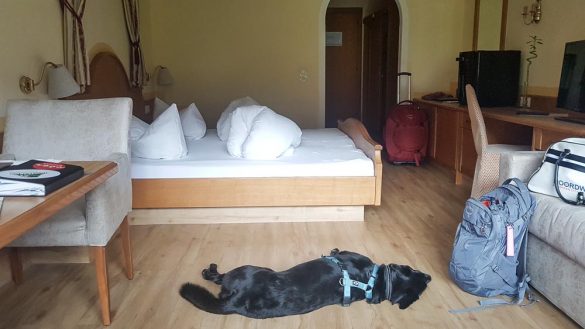 Urlaub Mit Hund Österreich Zillertal Hotel Magdalena Web (46 Von 328)