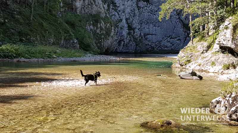 Wasserleitungsweg Höllental 2017 Web baden mit hund in österreich tipps