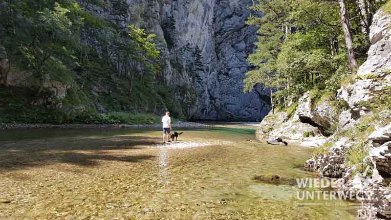 Wasserleitungsweg Höllental als naturbadeplatz, wildbaden mit hund