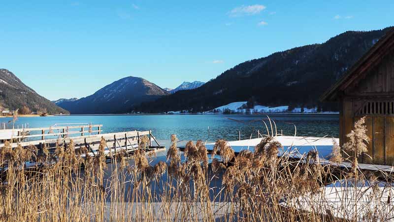 Weissensee Schilf