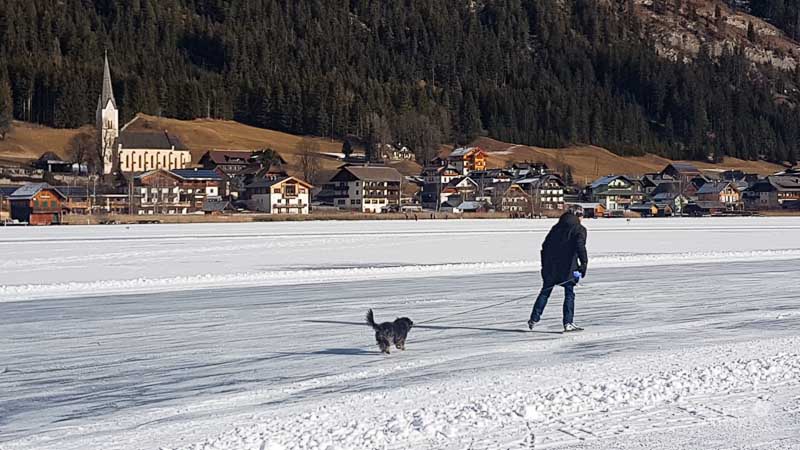 Hund am Eis Weissensee
