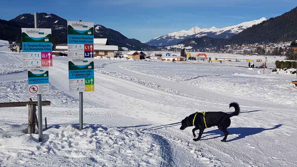 Loipen WEissensee