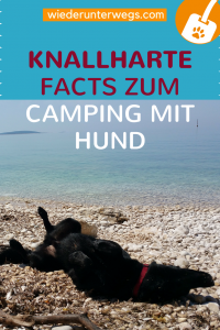 Urlaub mit Hund Reiseblog Camping Tipps