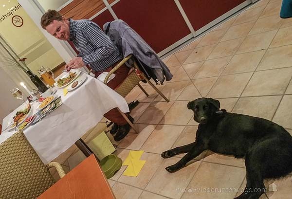 kartause Gaming Abendessen mit Hund