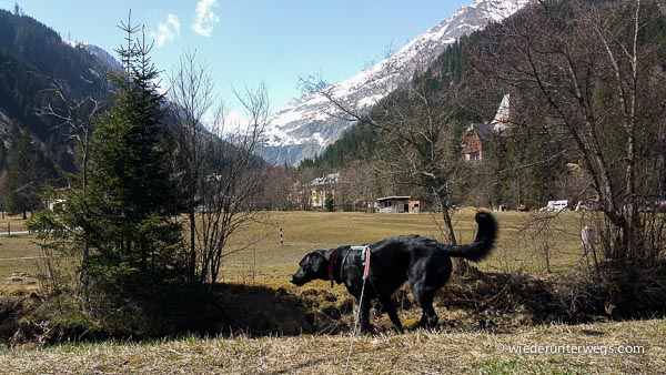 Residenz Gruber mit hund urlaub