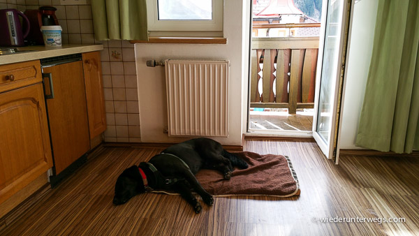 Residenz Gruber 2016 (9 Von 58)