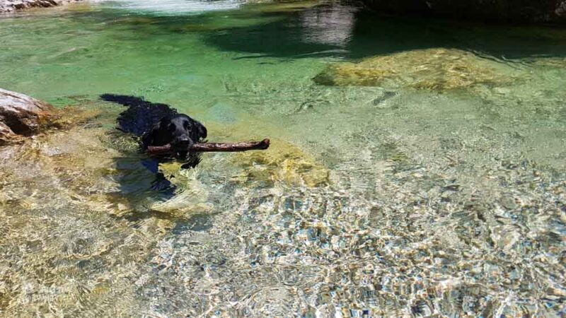 Ötschergräben Flusswanderung Mostviertel WEB (58 Von 159)